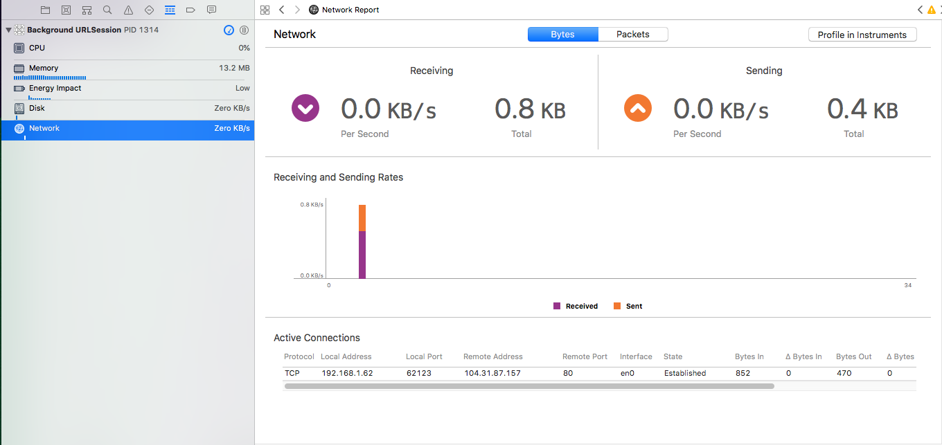 Xcode Network Information